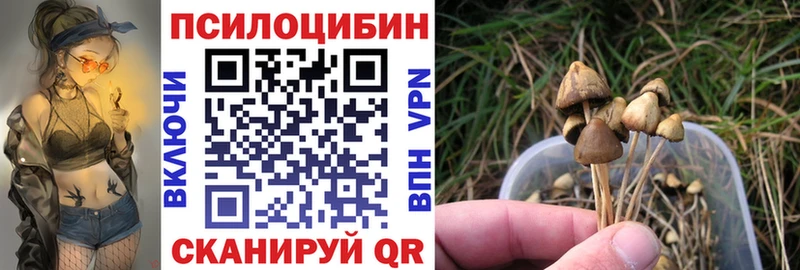 Галлюциногенные грибы прущие грибы  Новокубанск 
